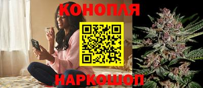 гидра Балашиха