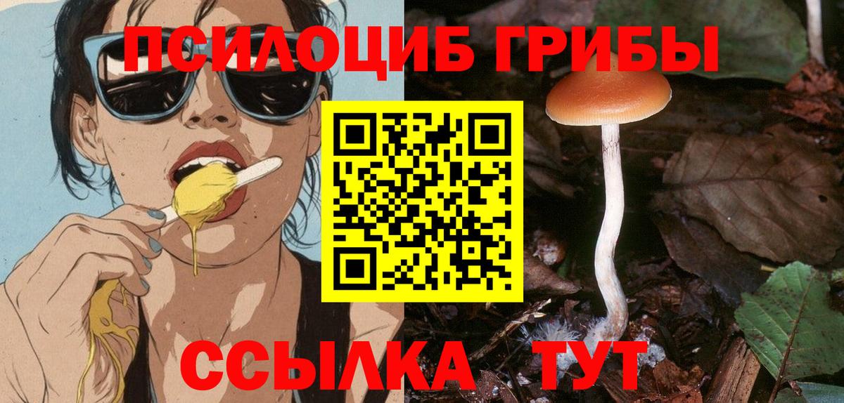 Псилоцибиновые грибы мухоморы Владимир