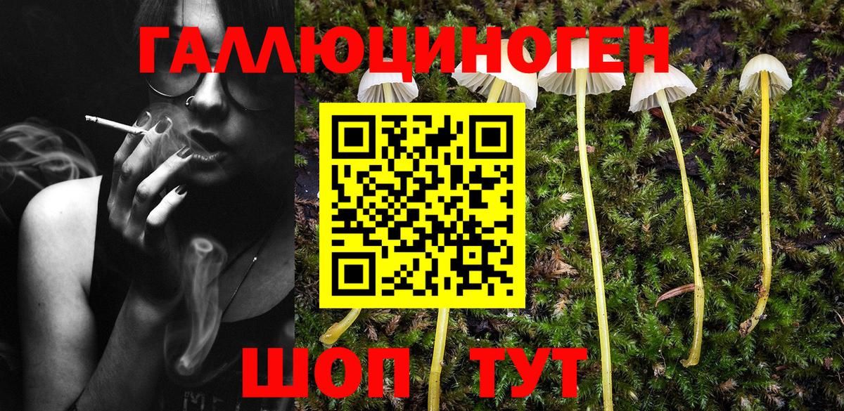 Галлюциногенные грибы MAGIC MUSHROOMS Владимир