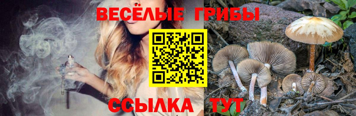 Галлюциногенные грибы мицелий  Галлюциногенные грибы Cubensis  Владимир 